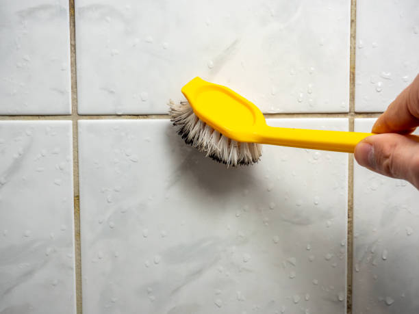 Best Black Mold Removal  in Steelton, PA