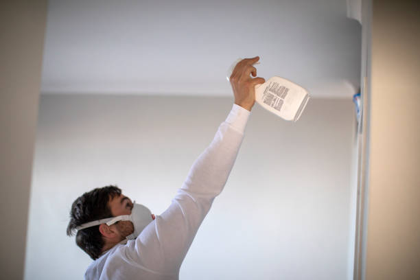 Best Mold Cleaning Services  in Steelton, PA