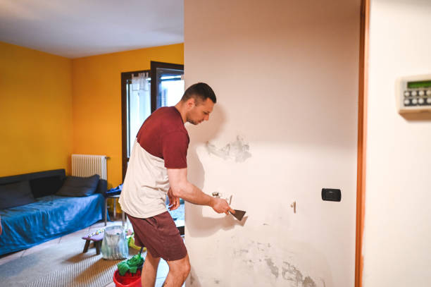 Mold Removal and Inspection in Steelton, PA